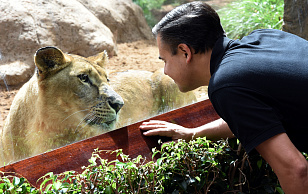 ANIMAL STORIES